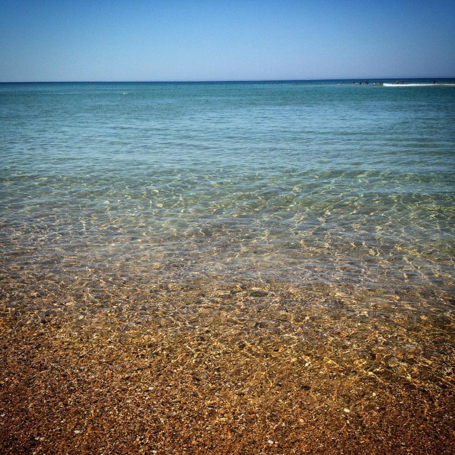 סורטס הוסגור Studio Entre Lac Et Ocean A Hossegor מראה חיצוני תמונה